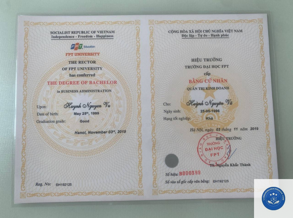 Làm bằng đại học là gì