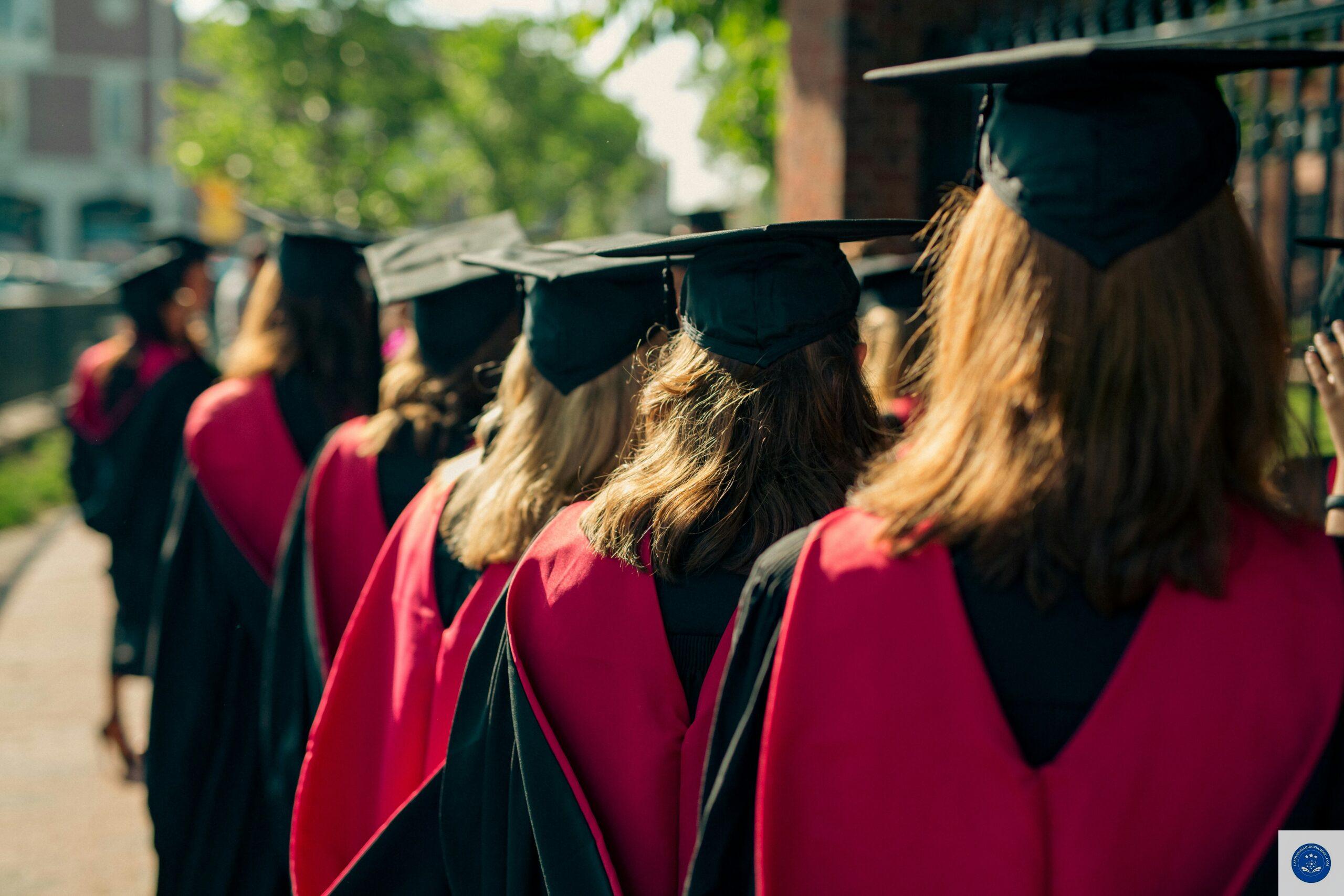 Sự thật về yêu cầu bằng đại học trong tuyển dụng hiện nay