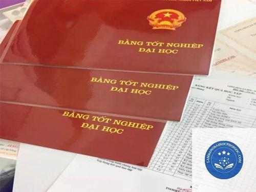 Phân biệt bằng đại học và các loại chứng chỉ, giấy phép có thời hạn khác