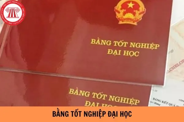 Bằng đại học là gì? Khái niệm chuẩn xác và vai trò cốt lõi