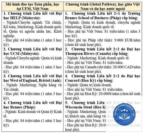 Định nghĩa Bằng đại học liên kết quốc tế: Hiểu rõ bản chất và giá trị