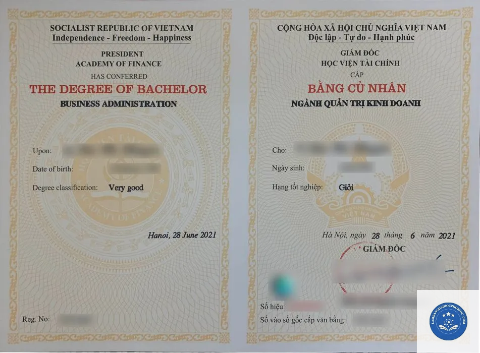 Bằng đại học liên thông là gì? Giải mã khái niệm và bản chất pháp lý