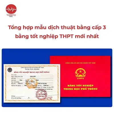 Giải Mã Giá Trị Nội Tại Của Bằng Cấp: Trường Học, Ngành Học và Thành Tích Học Tập