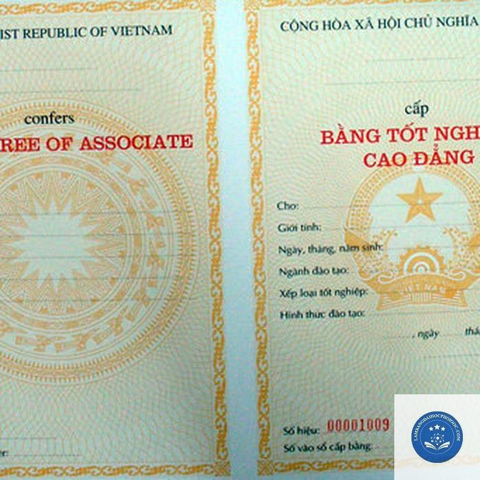 Bằng Đại học và Cao đẳng: Định nghĩa và Mục tiêu đào tạo