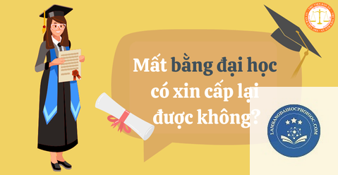 Tổng quan và Điều kiện Cấp lại Bằng Đại học Bị Mất