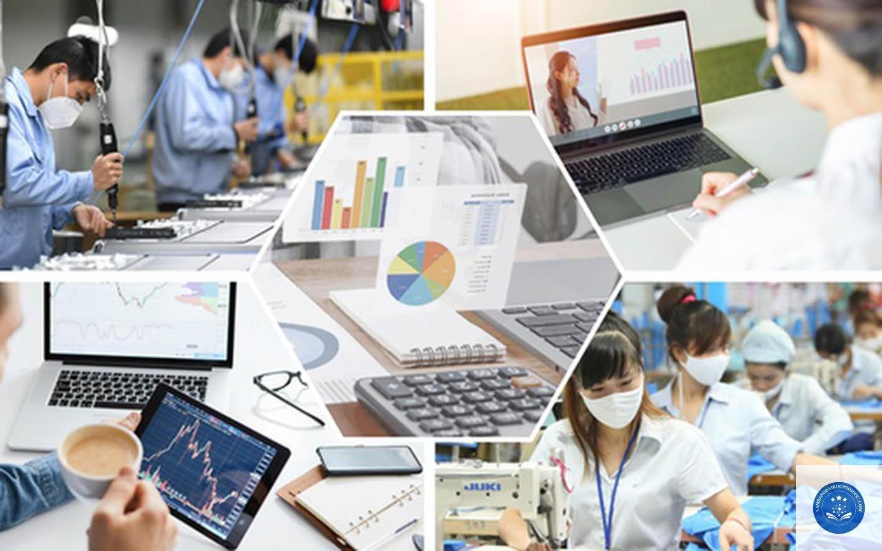 Nâng tầm cơ hội nghề nghiệp và vị thế trong thị trường lao động