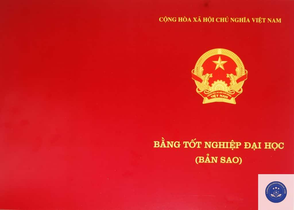 bản sao bằng đại học - Image 2