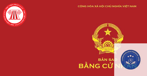 bản sao bằng đại học - Image 3
