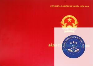 bản sao bằng đại học có giá trị không