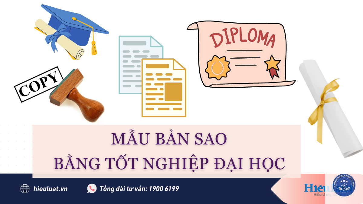 bản sao bằng đại học dùng để làm gì - Image 4