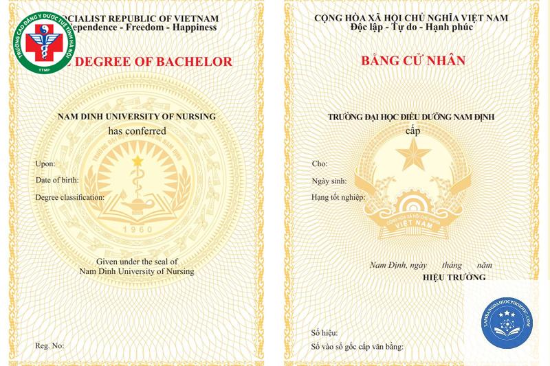 bằng cử nhân điều dưỡng là gì - Image 2