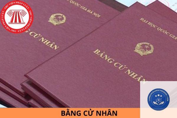 bằng cử nhân giáo dục là gì - Image 2