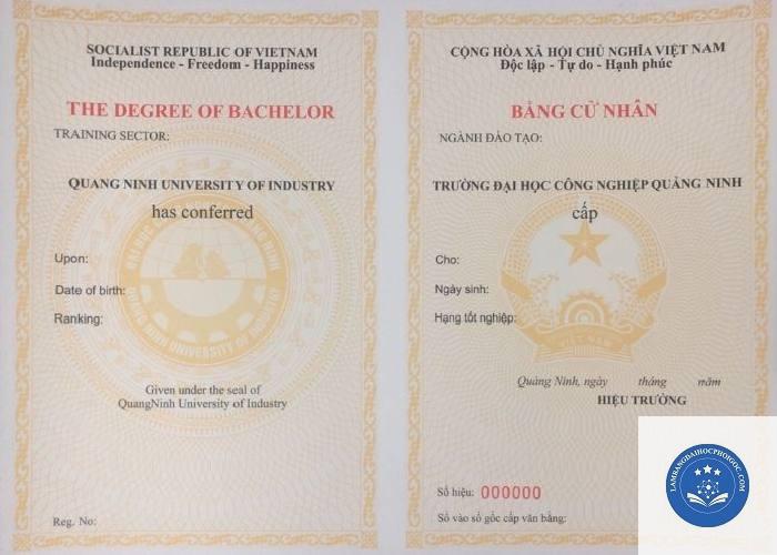 bằng cử nhân giáo dục là gì - Image 3