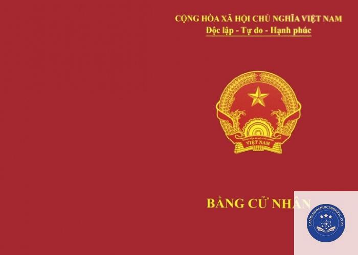 bằng cử nhân giáo dục là gì - Image 5