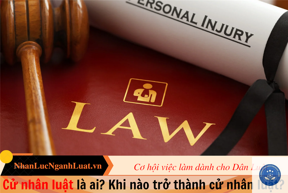 bằng cử nhân luật là gì - Image 5
