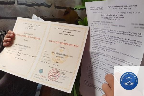 bằng cử nhân ngôn ngữ Anh là gì - Image 5