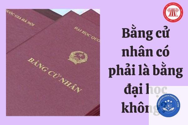 bằng cử nhân sư phạm là gì - Image 4