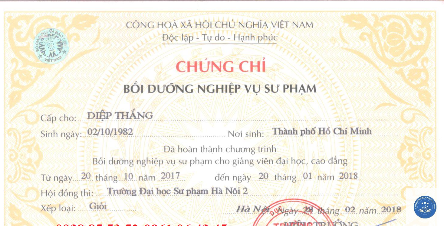 bằng cử nhân sư phạm là gì - Image 1