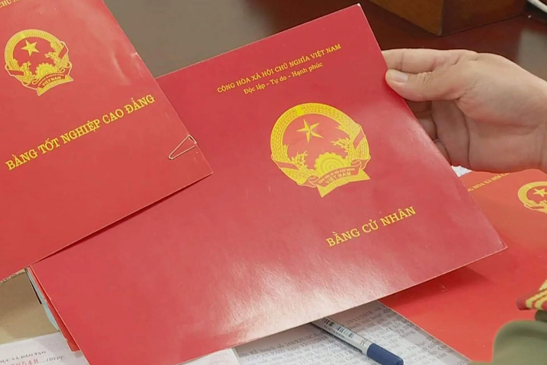 bằng cử nhân xã hội học là gì - Image 2