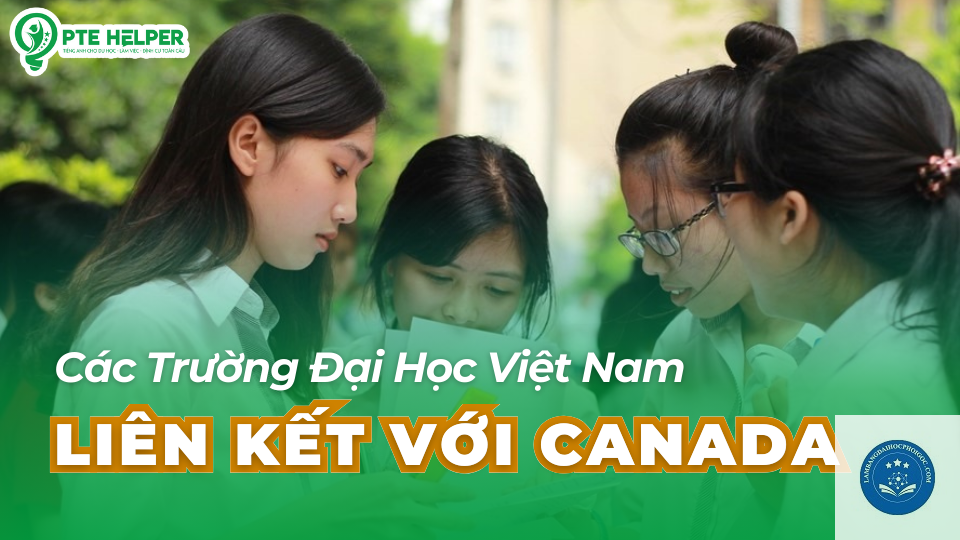 bằng đại học Việt Nam có giá trị ở Canada không - Image 4
