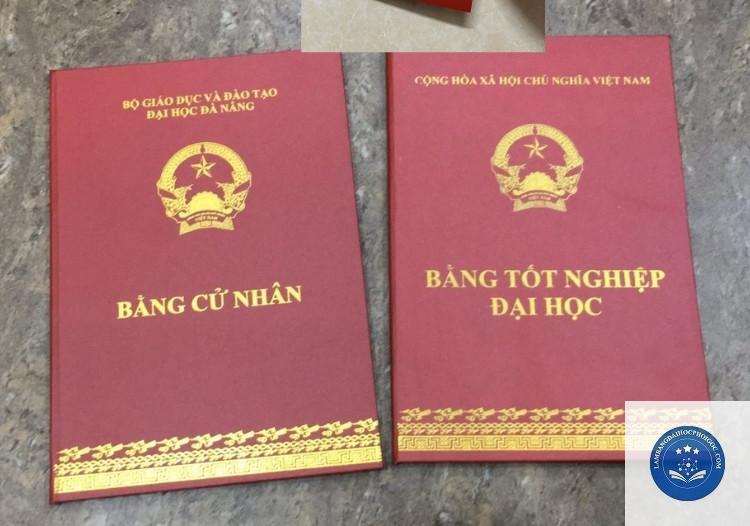 bằng đại học Việt Nam có giá trị ở Nhật không - Image 3