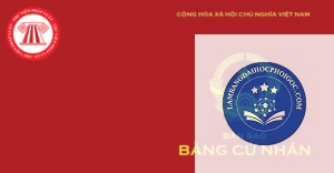 bằng đại học bản gốc có quan trọng không