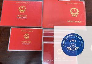 bằng đại học bị giả