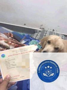 bằng đại học bị rách