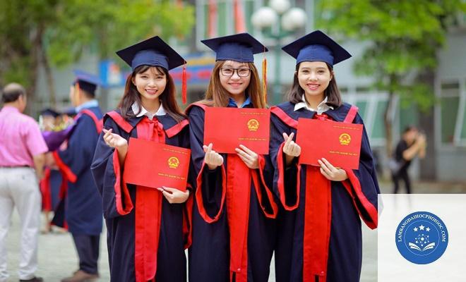 bằng đại học bị rách - Image 4