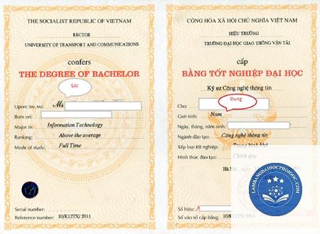 bằng đại học bị sai giới tính - Image 3