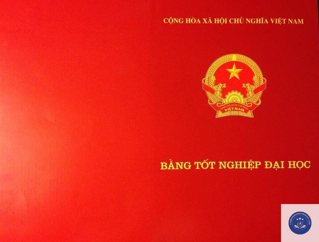 bằng đại học có ảnh không - Image 2