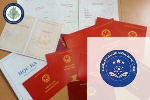bằng đại học có cần nộp bản gốc không