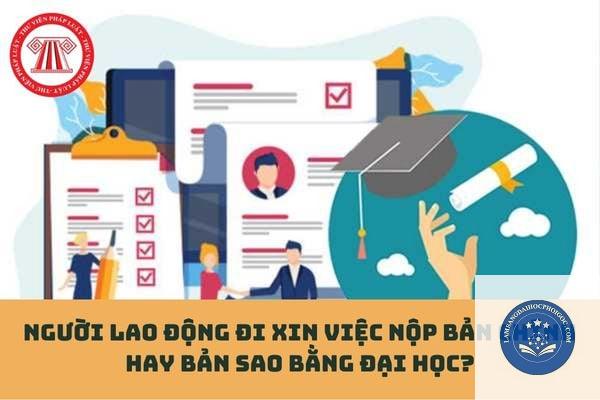 bằng đại học có cần nộp bản sao không - Image 3