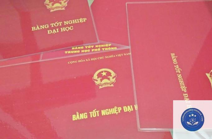 bằng đại học có cấp lại bản chính không - Image 2