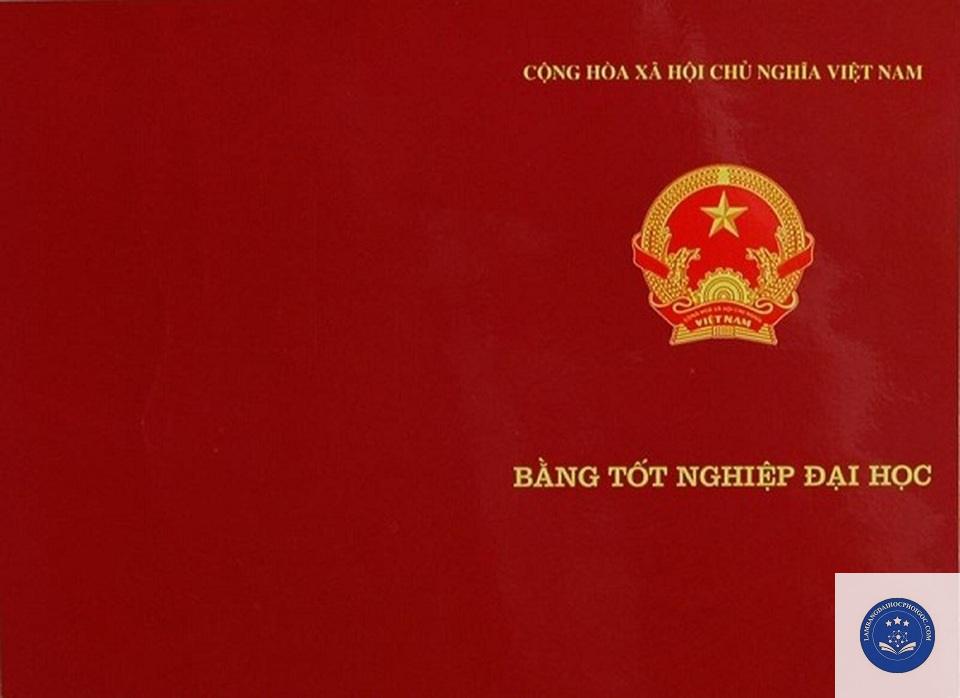 bằng đại học có được cấp ngay không - Image 4
