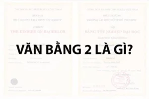 bằng đại học có được học văn bằng 2 không