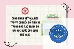 bằng đại học có được quy đổi tín chỉ không
