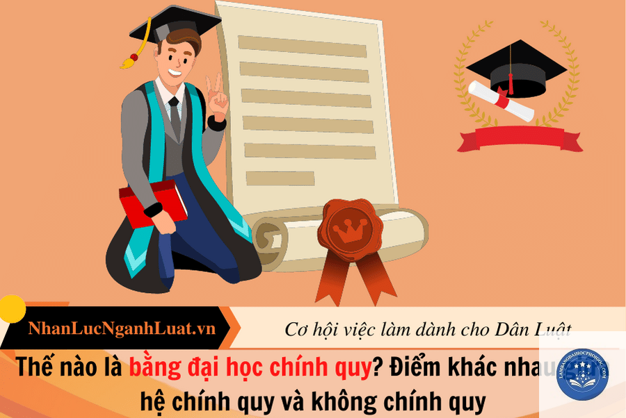 bằng đại học có phân biệt chính quy không - Image 4