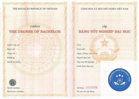 bằng đại học có số seri không - Image 3