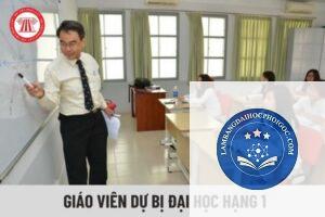 bằng đại học có thể làm giáo viên không