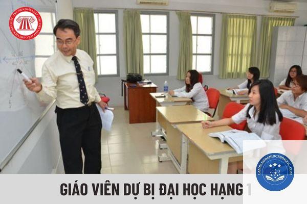 bằng đại học có thể làm giáo viên không - Image 1