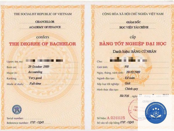 bằng đại học có thể làm kế toán không - Image 1