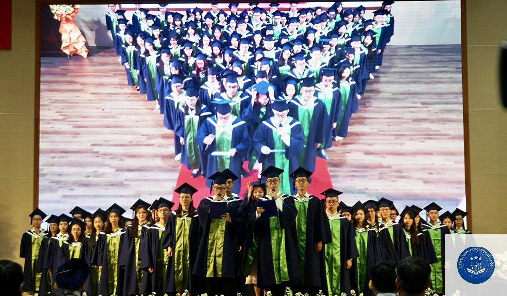 bằng đại học có thể làm việc nhà nước không - Image 5