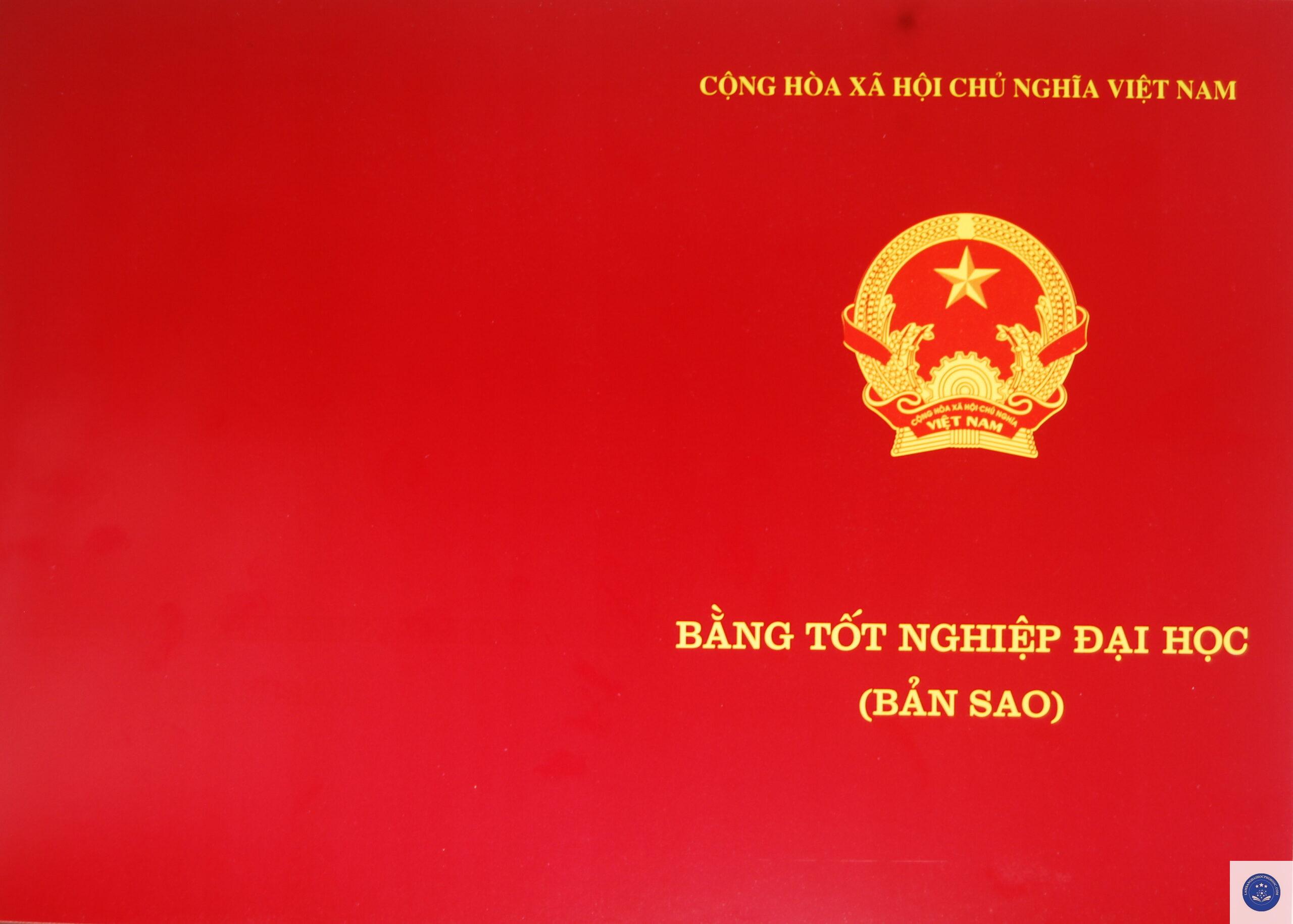bằng đại học dùng bản photo được không - Image 4