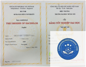 bằng đại học hệ từ xa