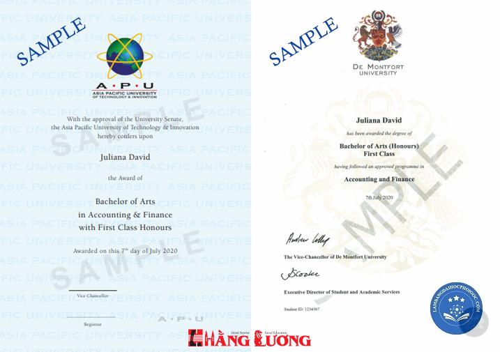 bằng đại học kép - Image 3