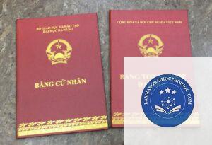bằng đại học kép