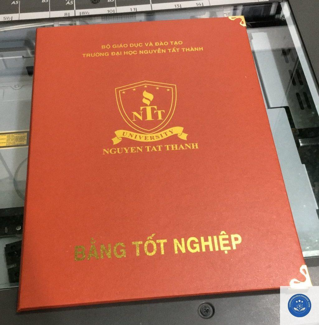 bằng đại học kép - Image 4