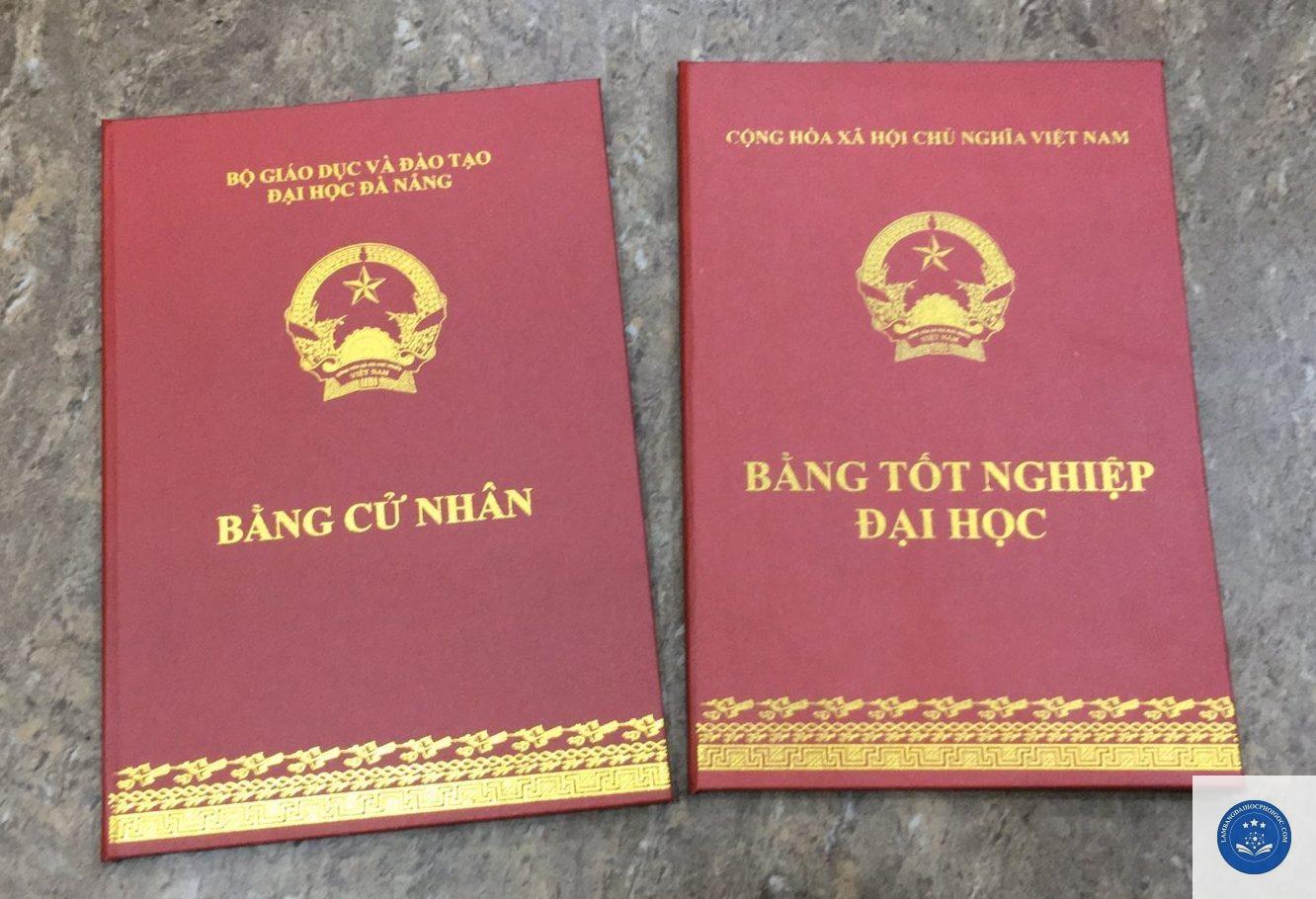 bằng đại học kép - Image 1