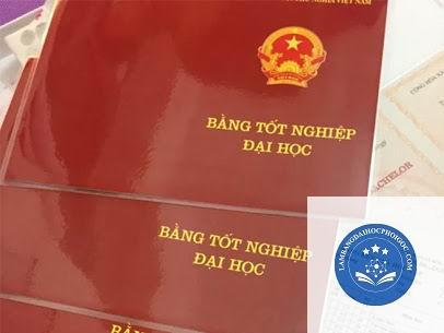 bằng đại học không ghi chính quy - Image 2